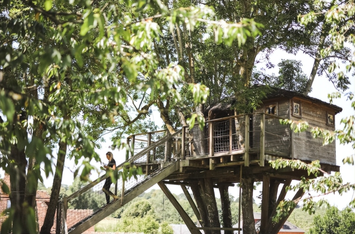 不容错过法国红酒,不容错过的精彩时刻