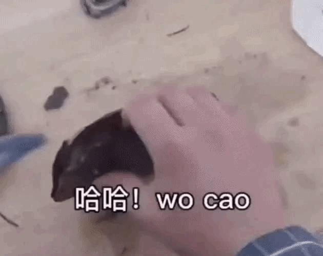 月老看事,月老吐血视频