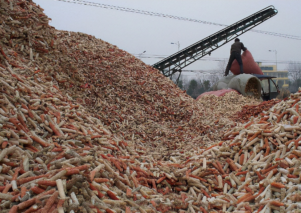 为什么玉米芯在韩国如此值钱,玉米芯卖到韩国挣钱吗