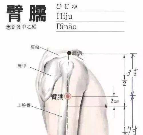 肩臂疼痛的穴位是什么穴,肩臑穴的取穴方法
