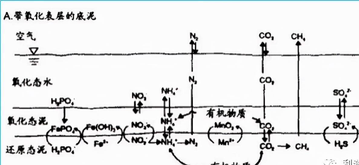 硫化氢泄漏时如何应急处理,硫化氢产生的原因及处理措施