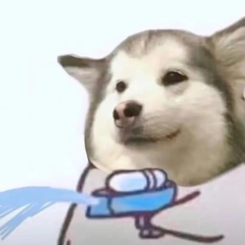 加了心仪女孩子的微信，第一句不知道怎么说？来看看别人怎么说的