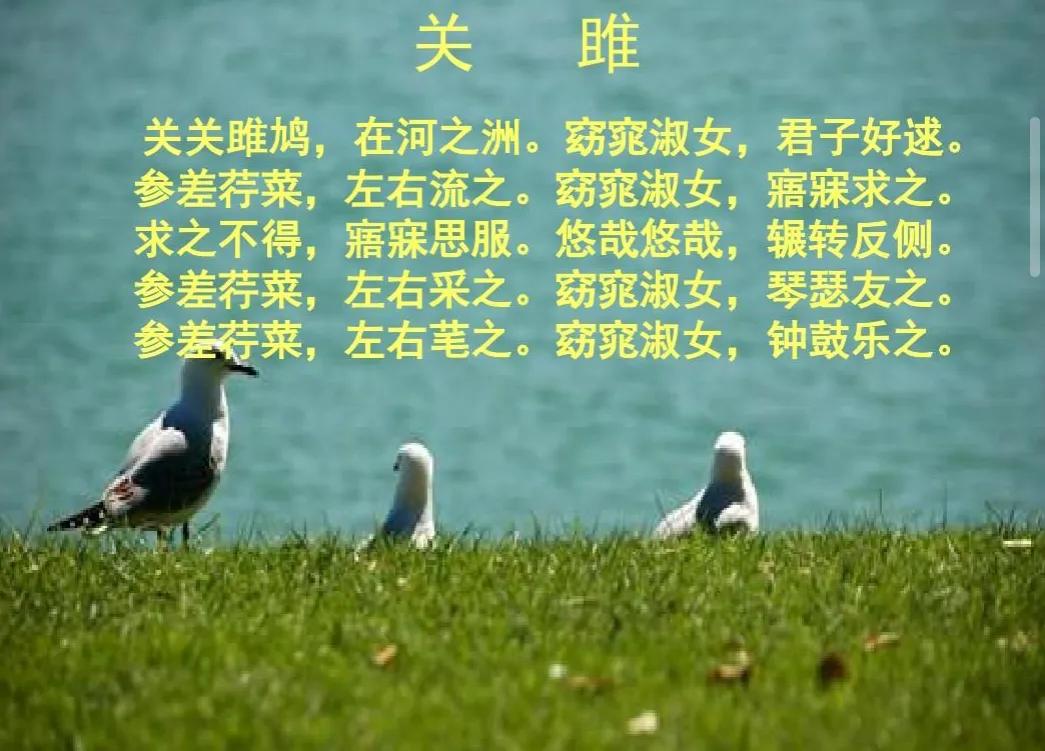 关于爱情的浪漫诗句,诗经关于爱情的诗句