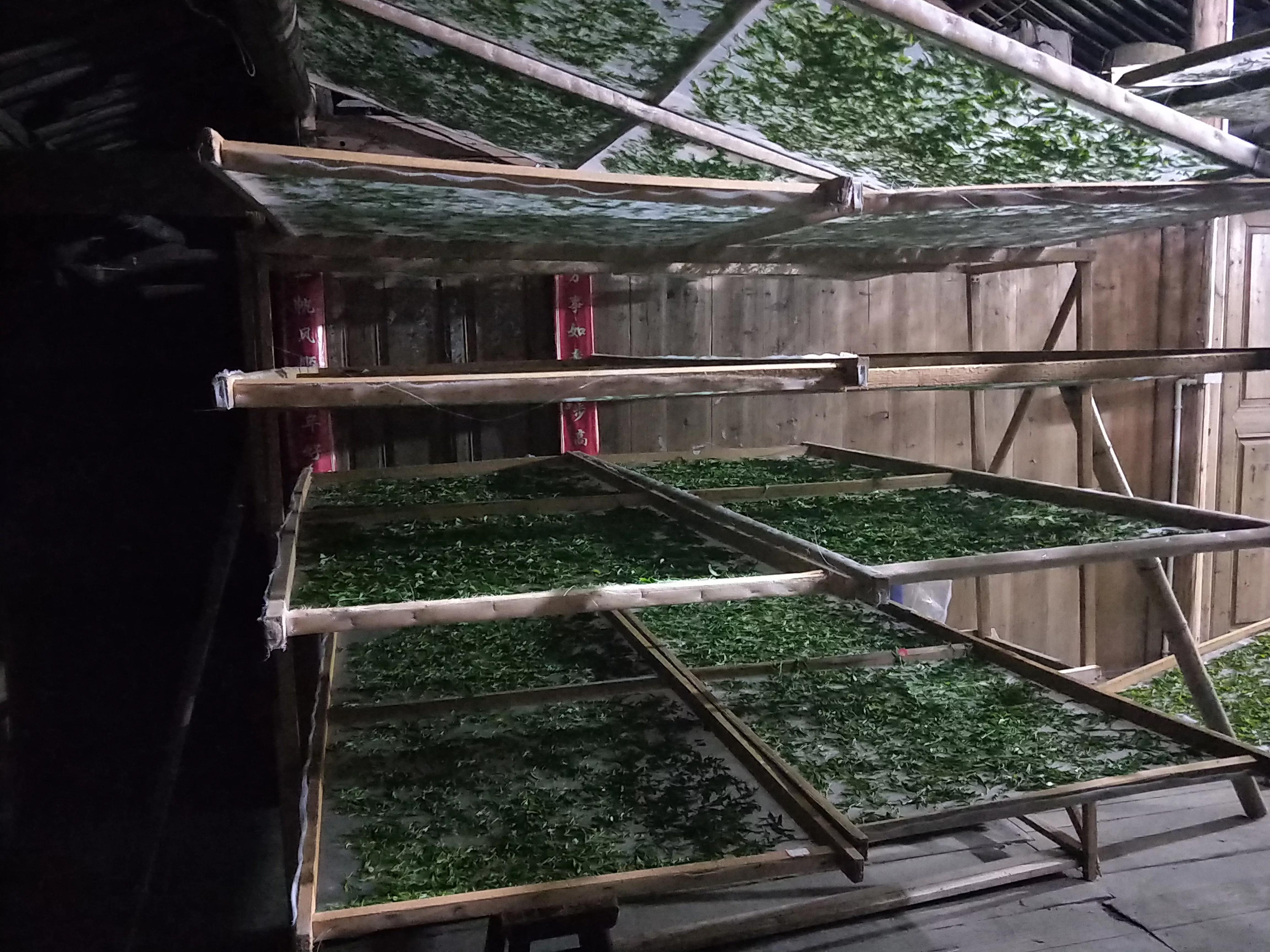 谷雨前后的茶推荐,醇香甘甜的早春好茶