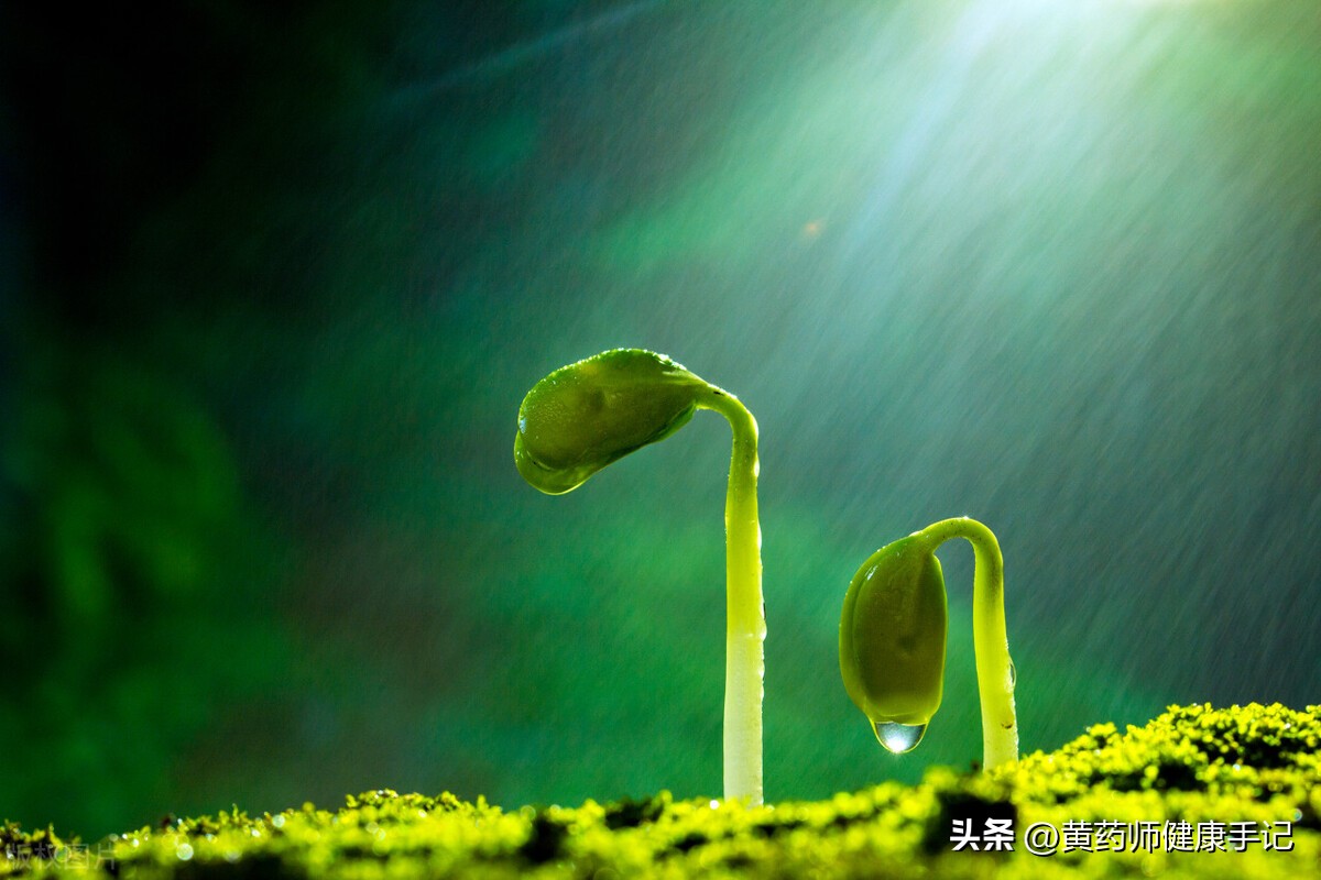 补肾阳气血不足的中成药,既能补阴阳又能气血双补的中成药