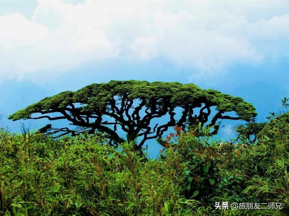 金秀圣堂湖在圣堂山吗,广州南浦出发一日游