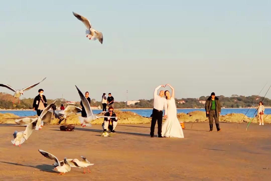 疫情结束后，每个秦皇岛人都想完成的50件小事！