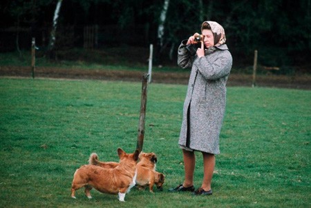 1939年，13岁未来女王遇见19岁落魄王子，两人一见钟情，然后呢
