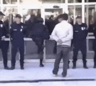 新手为什么不养鳄龟,养了一年的鳄龟怎么一点都不凶