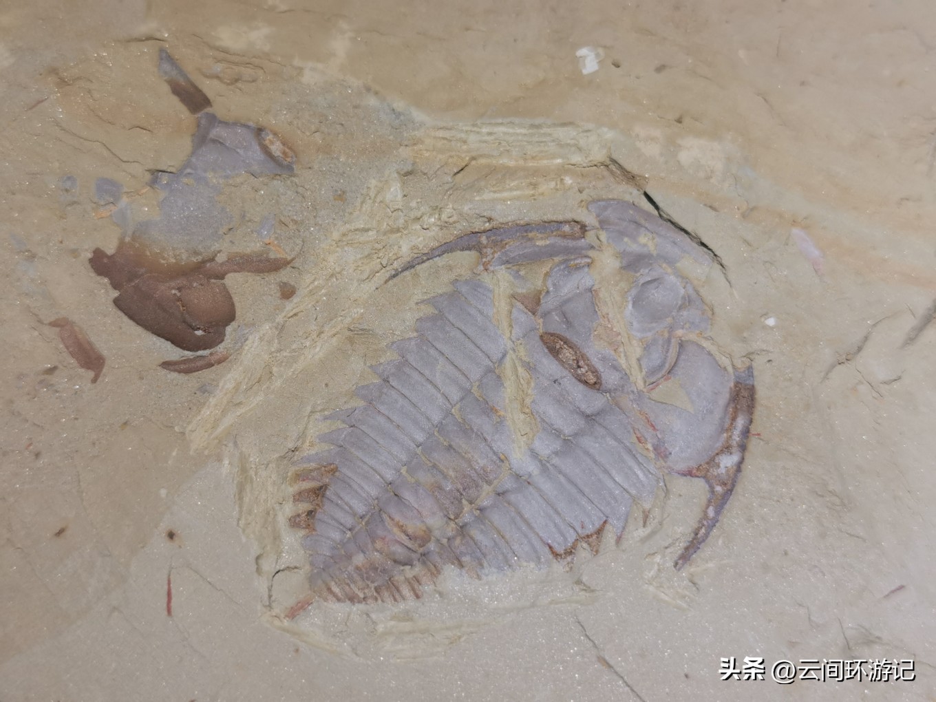 玉溪澄江抚仙湖游玩攻略,玉溪澄江抚仙湖推荐吗