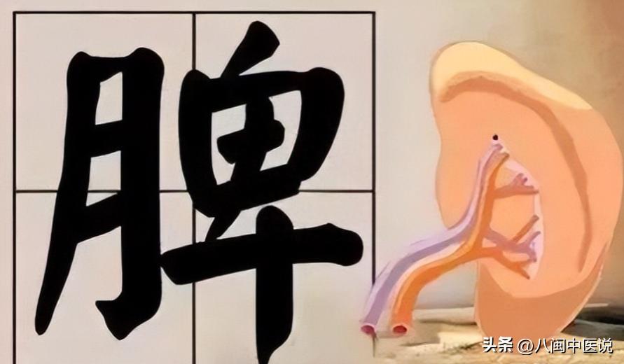 脾胃最怕这三样东西,一招逼出脾胃寒湿气