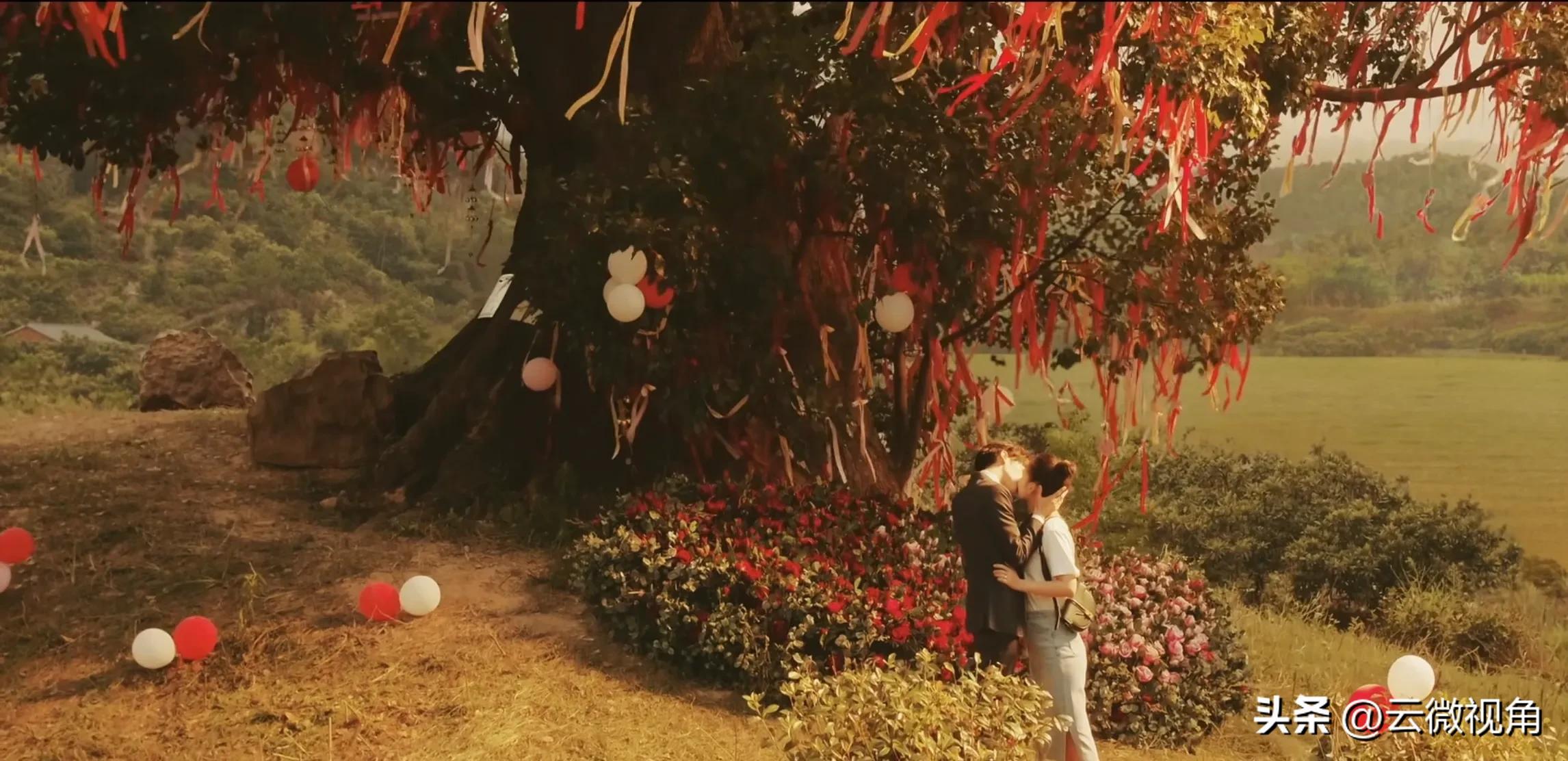 追光者特辑,追光者高甜片段表白