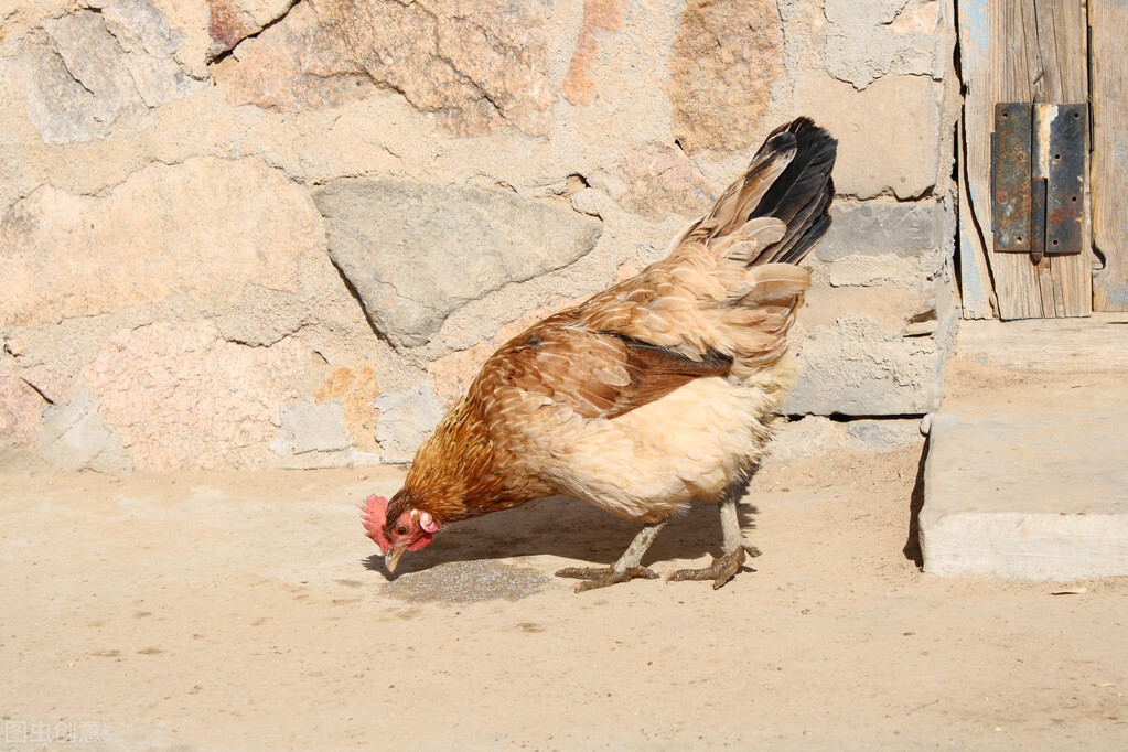 蚂蟥被人吃进去会如何,误食蚂蟥多久会有反应