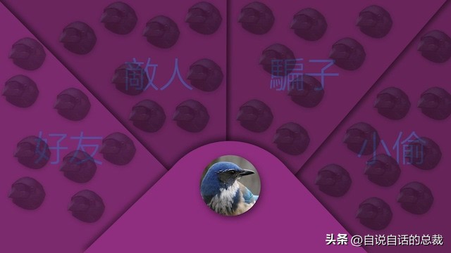 乌鸦为什么是外星人,外星人至今还未出现的5大原因