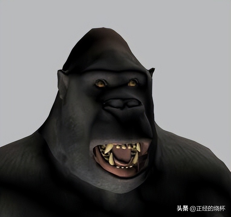 类人猿的身体特征有哪些,类人猿是什么动物