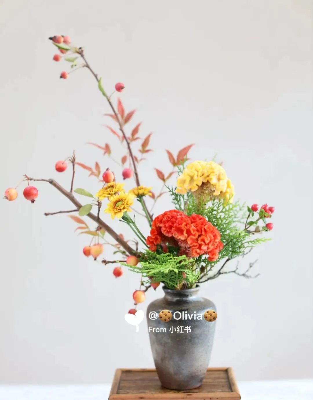 又又又被美到！10款秋日的花果叶，打包了最斑斓的秋色