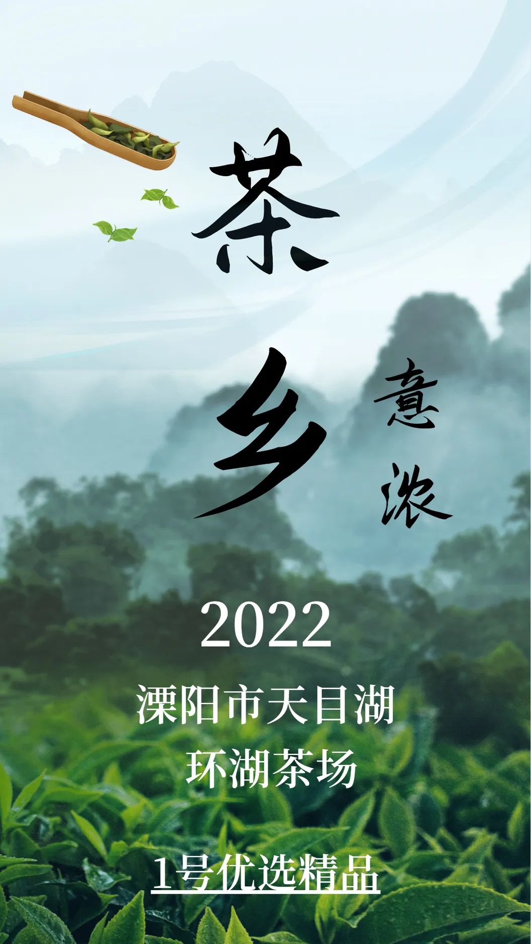 溧阳市天目湖绿溪茶场白茶,天目湖环湖茶场白茶