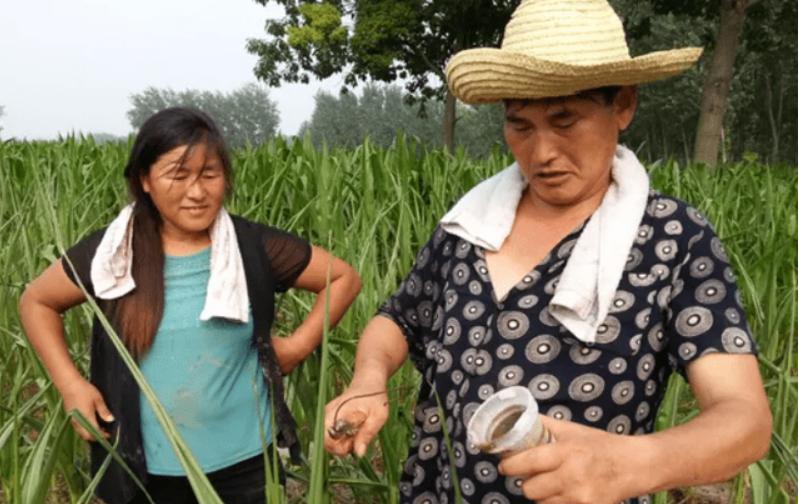 大衣哥换上新演出服,大衣哥穿西装最新图片