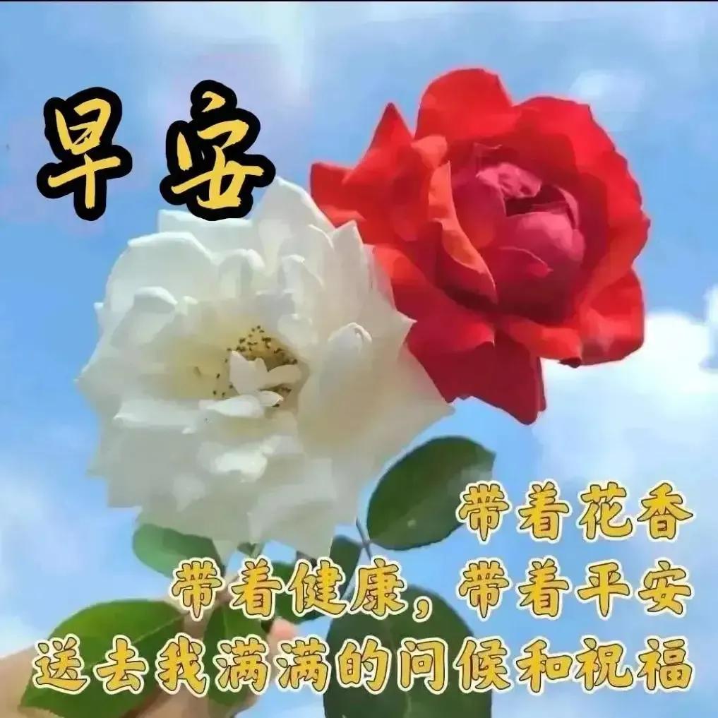 庚子日柱2023年癸卯年运势,癸卯年2023年哪个月出生最好