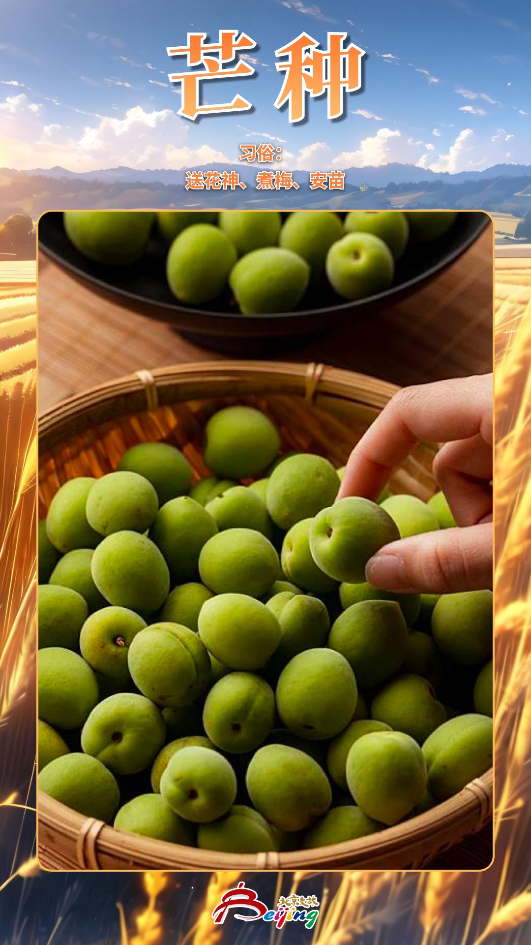 今日芒种|相逢问蚕麦,幸得称人情