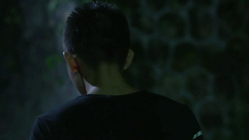 央视八套即将开播的电视剧,央视八套近期电视剧名单出炉