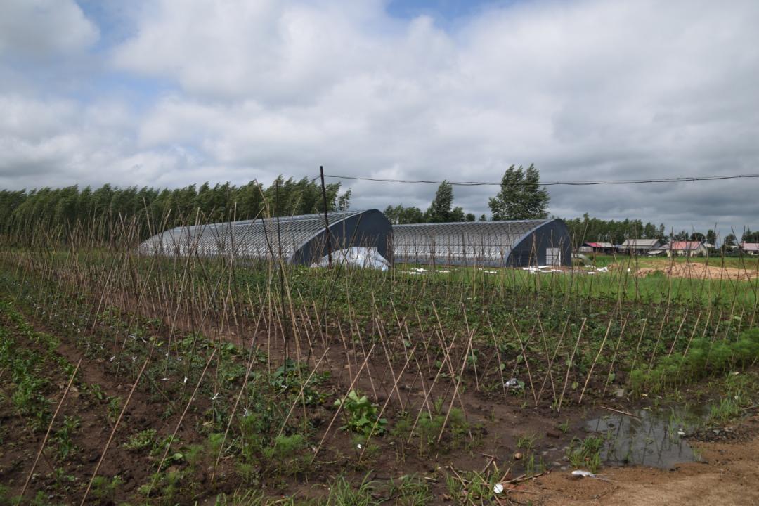 砥砺初心担使命同心奋进新征程,砥砺奋进不辱使命助推乡村振兴