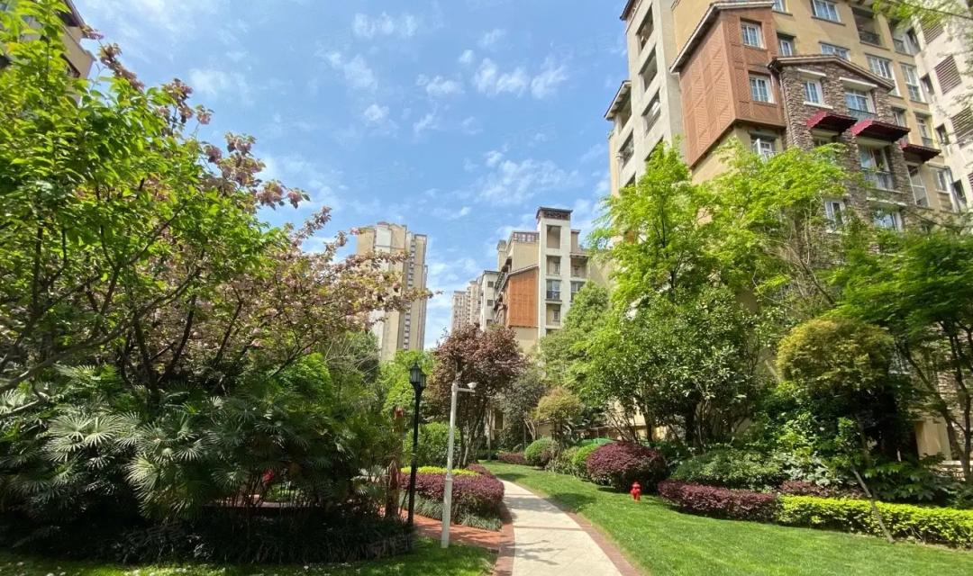 观察二,成都最值得住的洋房