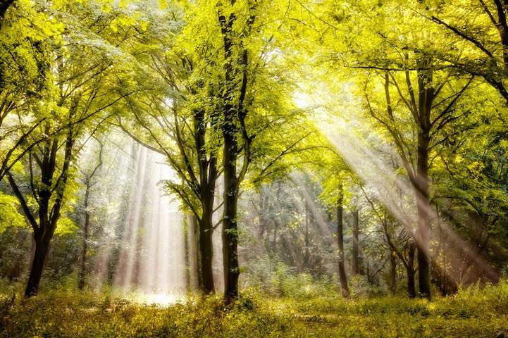 木偶奇遇记匹诺曹是一个怎样的人,木偶奇遇记匹诺曹给孩子们的启示