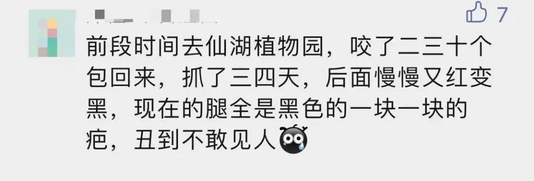 去公园可怕的虫子,去公园如何避免蚊虫叮咬