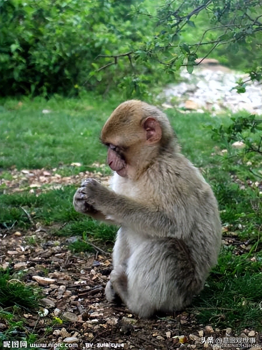 山西孝义土话大全集,孝义方言文字