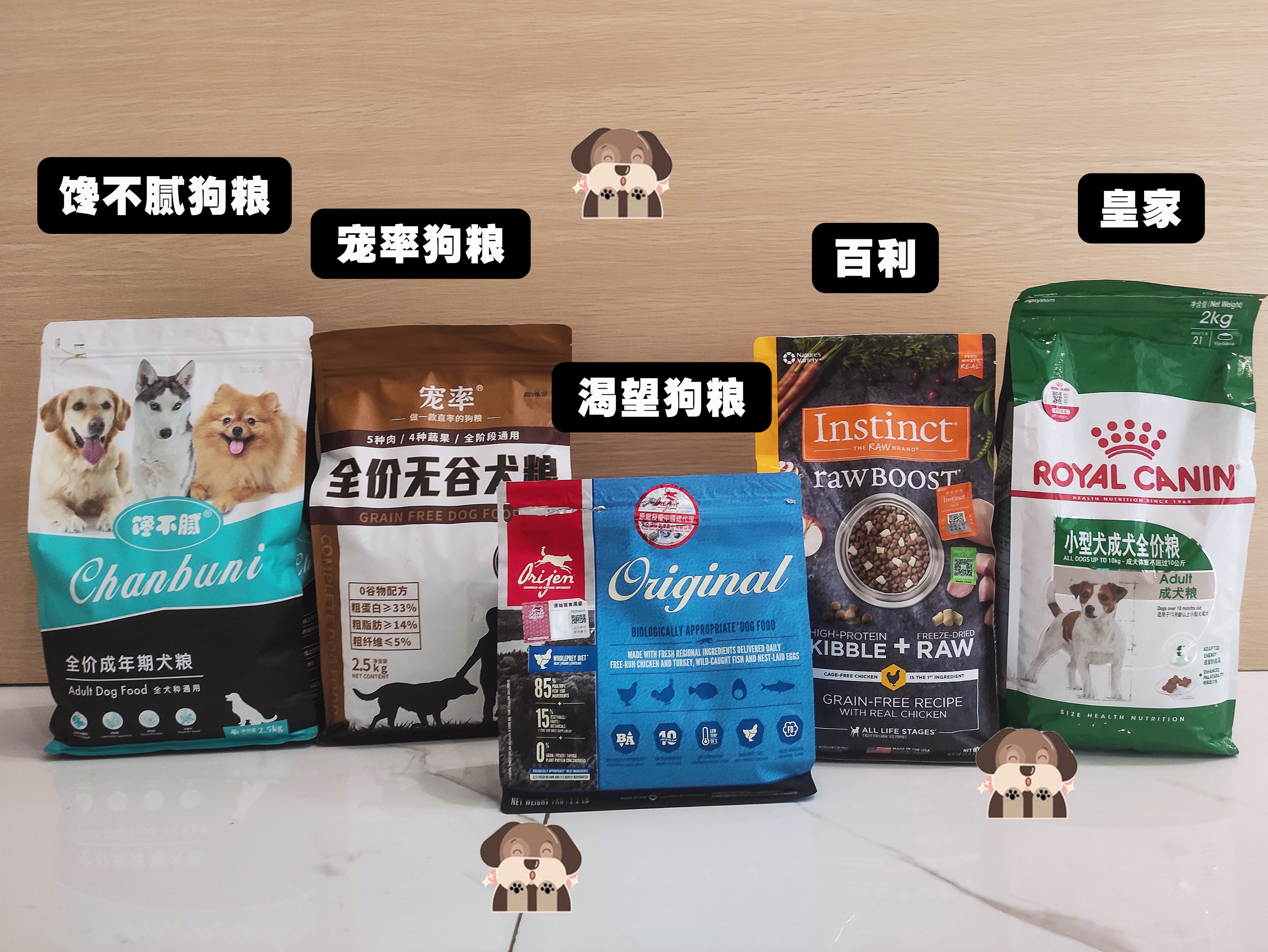 鉴别泰迪纯不纯,巧克力泰迪怎么看纯不纯视频