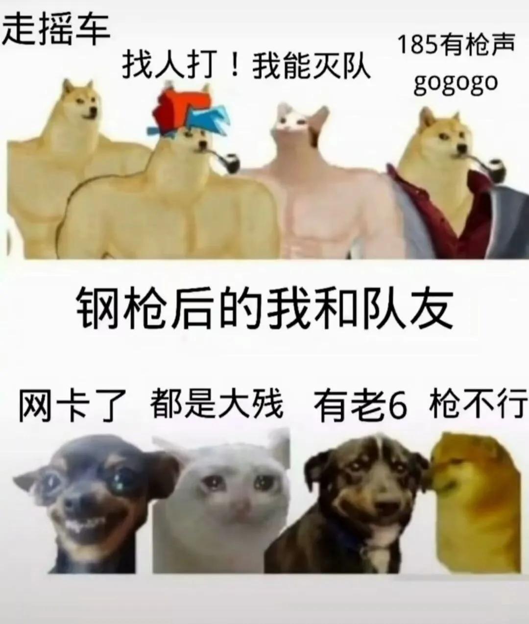 人间最真实搞笑的图片,搞笑图片人间真实系列