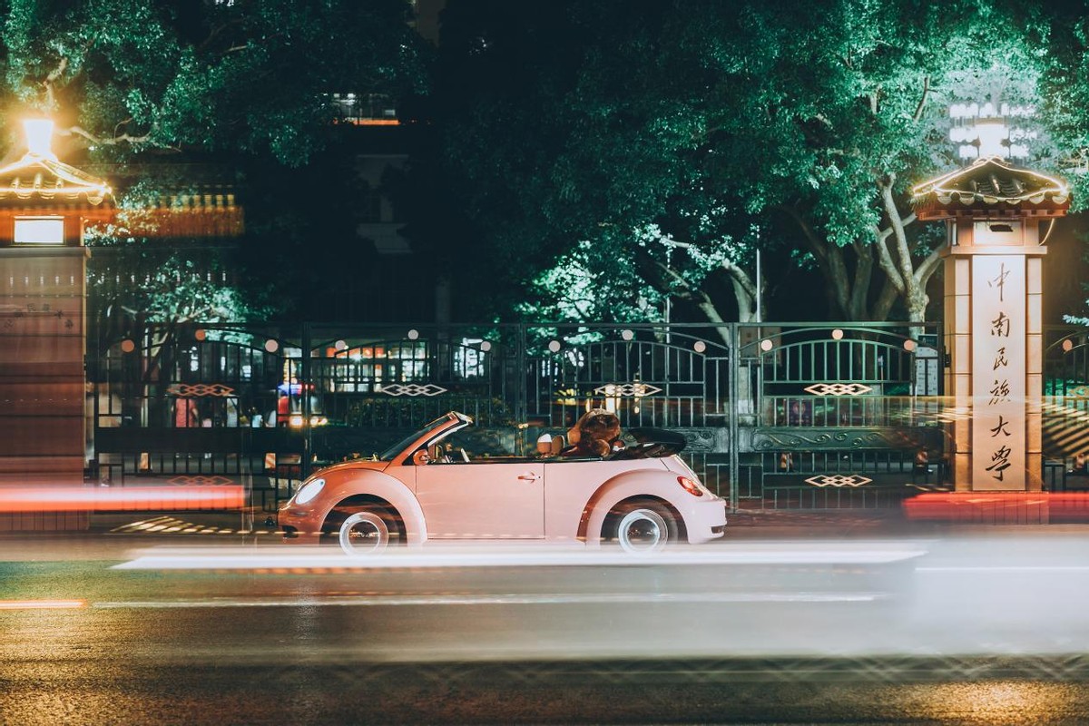 甲壳虫夜晚的图片,美丽的甲壳虫图片