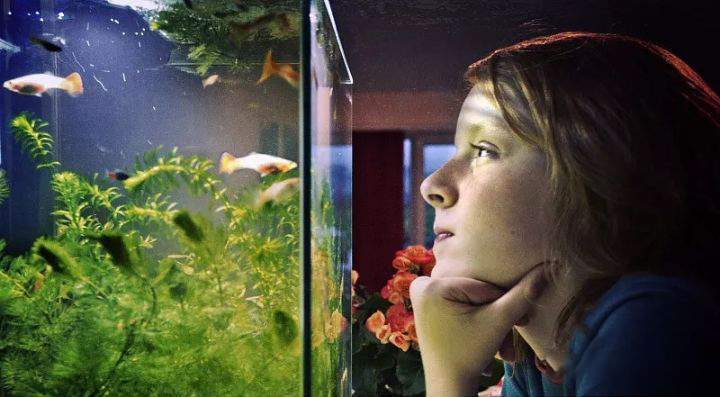 鱼缸自己制作,鱼缸制作方法全过程