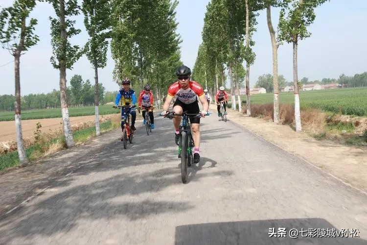 德州陵城东方,德州陵城智圣故里