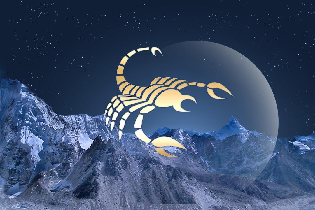 天蝎座容易成功的行业,近期天蝎座升职能成功吗