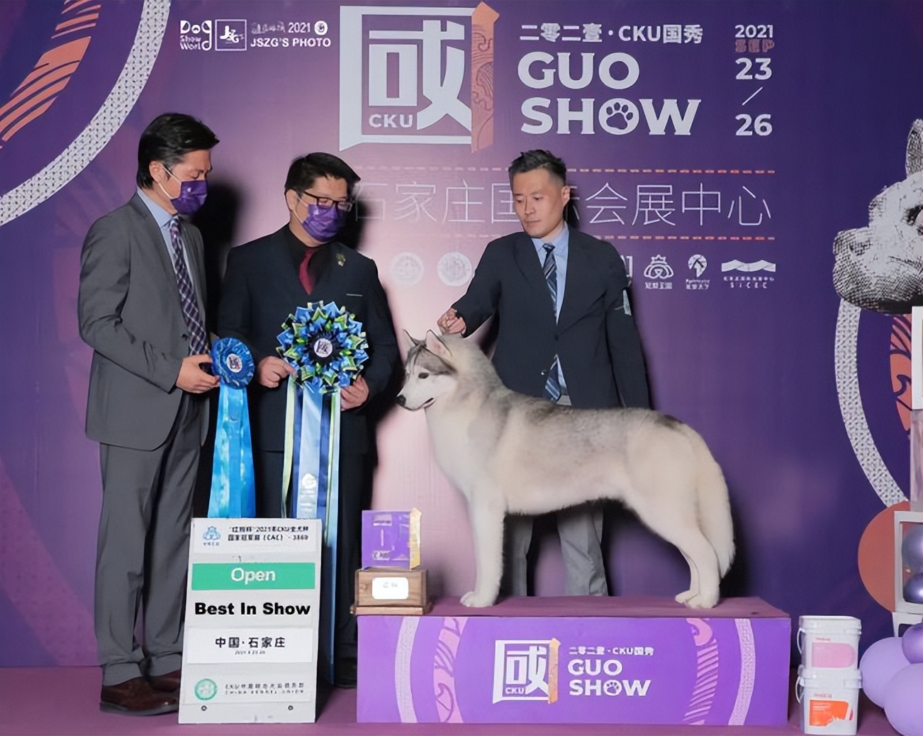 狗市买狗=肉包子打狗？普遍活不过七天，养宠小白重灾区