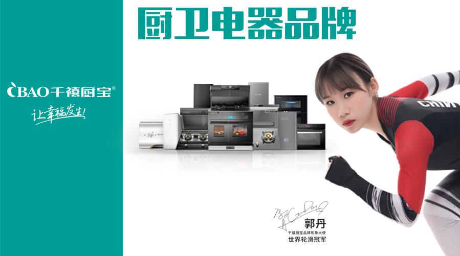 千禧厨宝电器是什么,沅陵千禧厨宝厨电