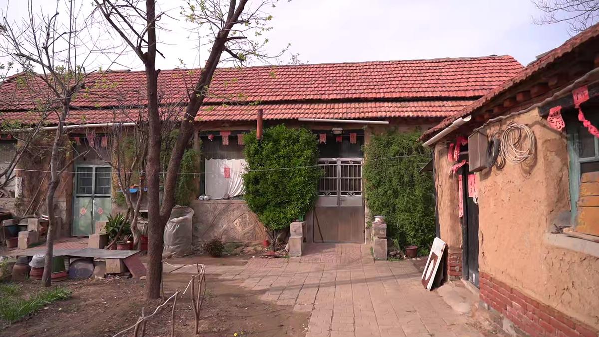 76岁老中医退休后坚持奋斗在一线,103岁老中医分文不取