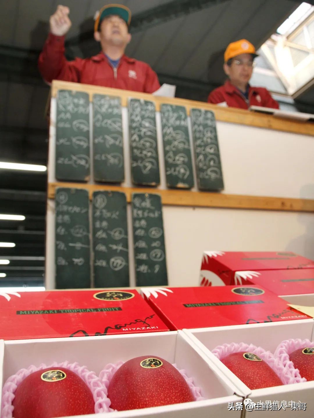 世界第一果蔬批发市场,中国十大果蔬批发市场