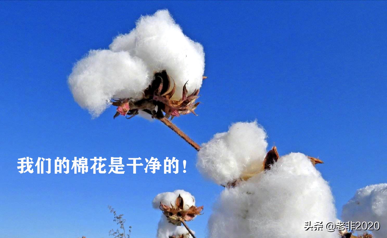 越南制造的耐克质量是最差的吗,耐克越南制造质量