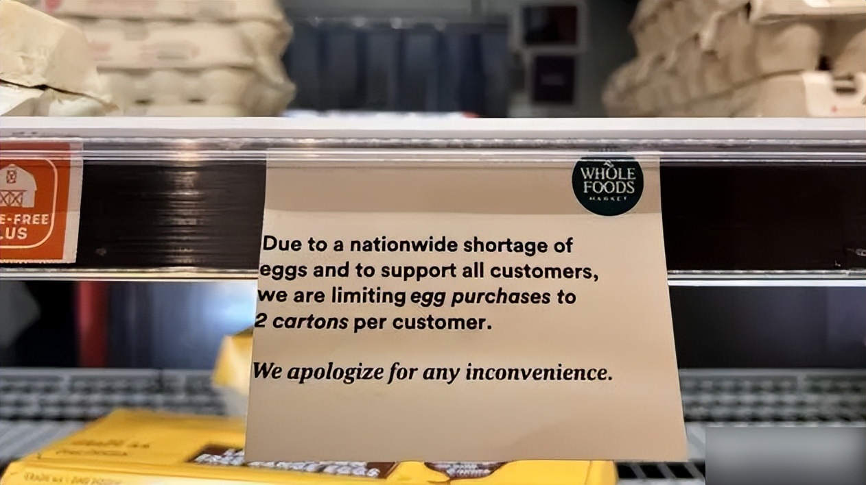 蛋荒谜题：台湾为什么会缺鸡蛋？