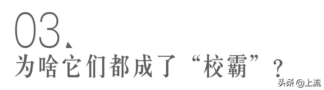 被黑天鹅打得措手不及,学校黑天鹅被学生拿