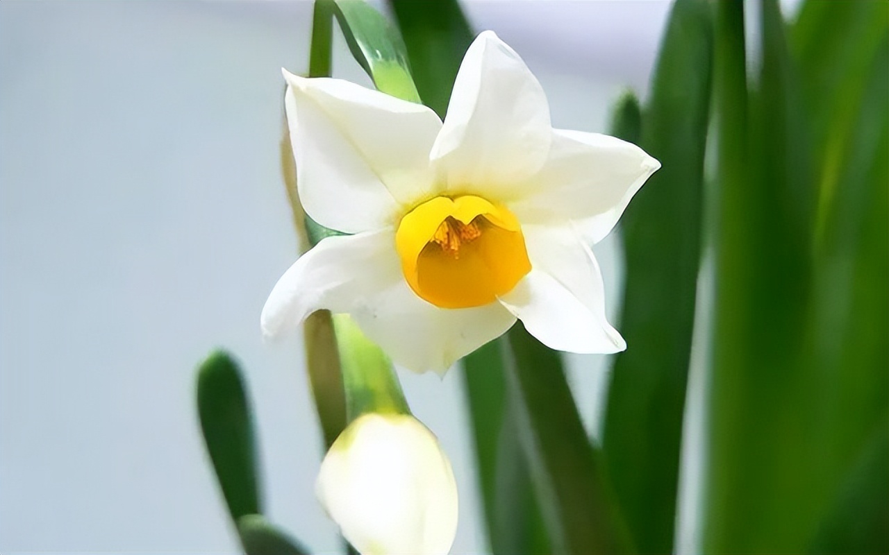 当你过得差连亲戚都瞧不起,当你过得不好连亲戚都瞧不起你