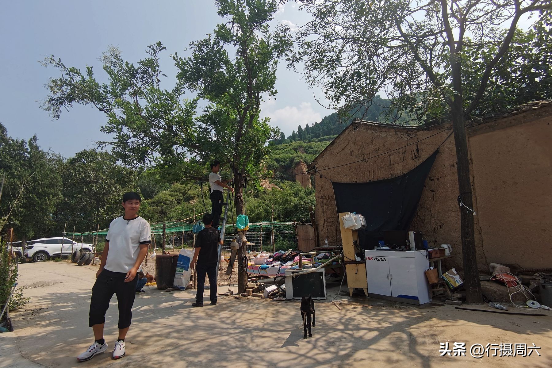 养鸡小两口,养1000只跑山鸡一年赚多少