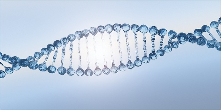 集萃药康3月科创板上市股票,集萃药康科创板