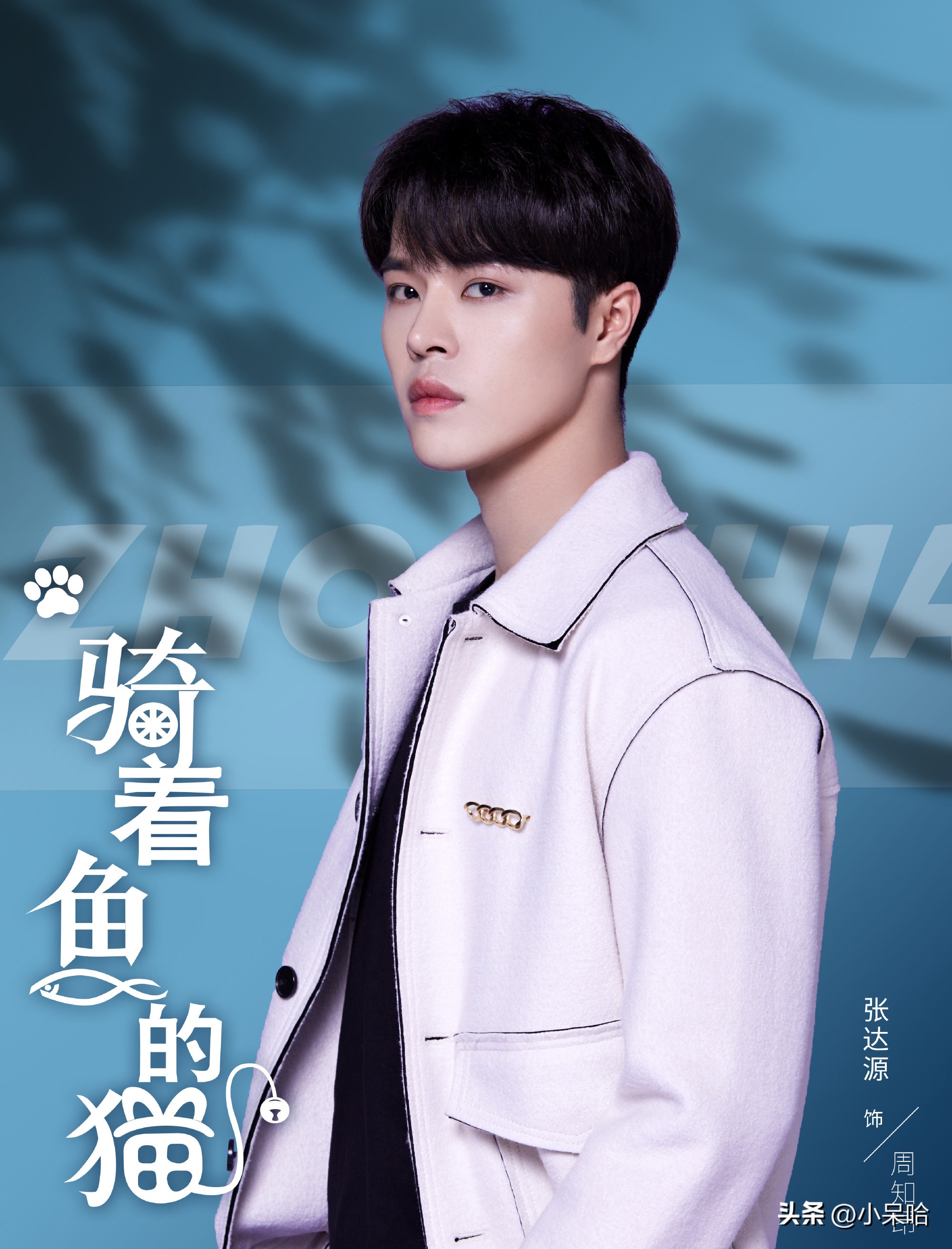 国风少女VS双面霸总，最新甜宠治愈剧《骑着鱼的猫》强势来袭！