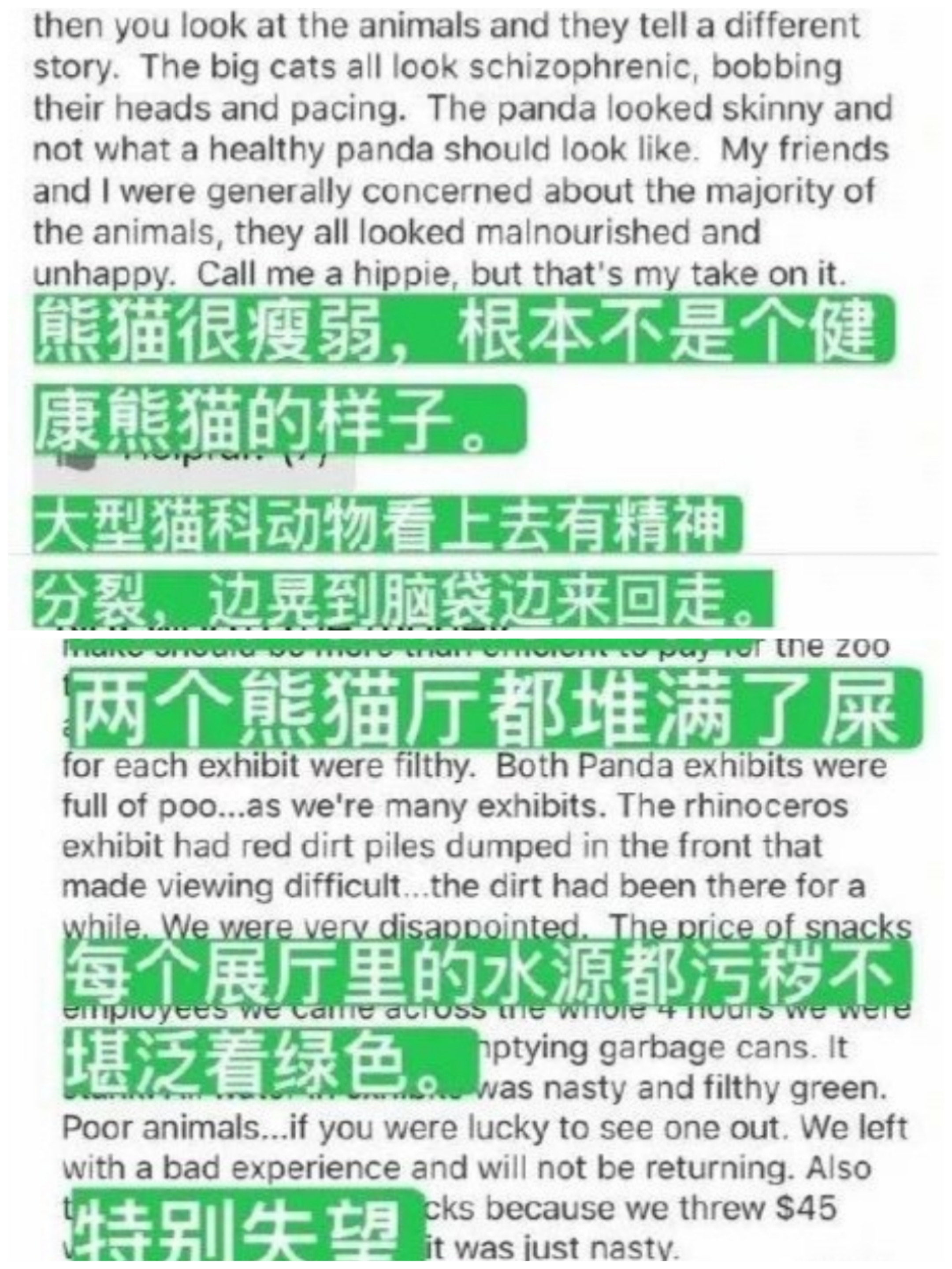 万人*愿请**国宝回家，留美熊猫遭遇了什么？