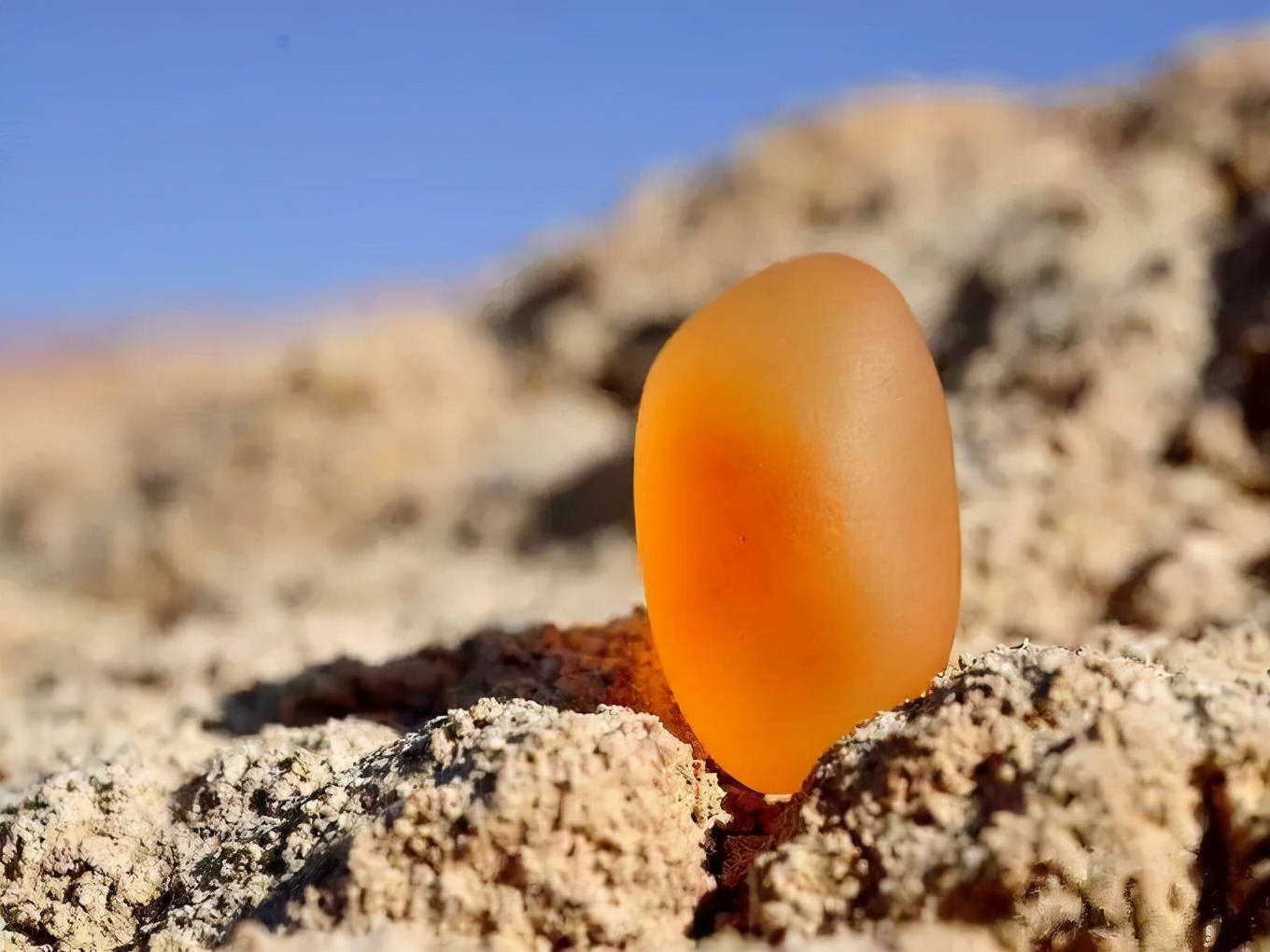 戈壁滩真的有好看的石头吗,戈壁滩上的各种石头