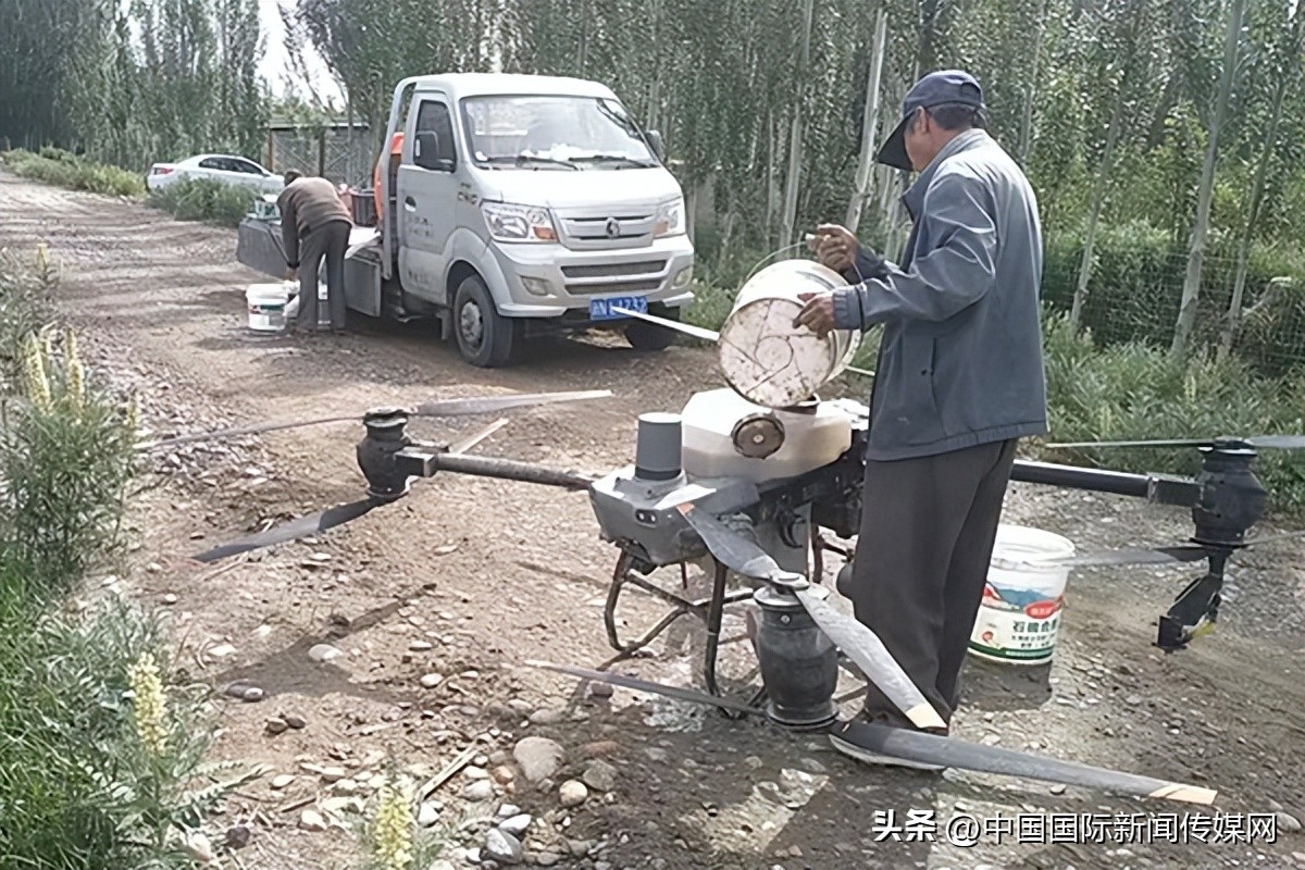 新疆回乡创业新农人,新疆返乡创业青年